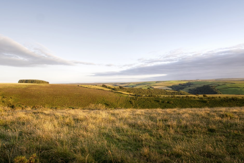 Exmoor park rolling hills