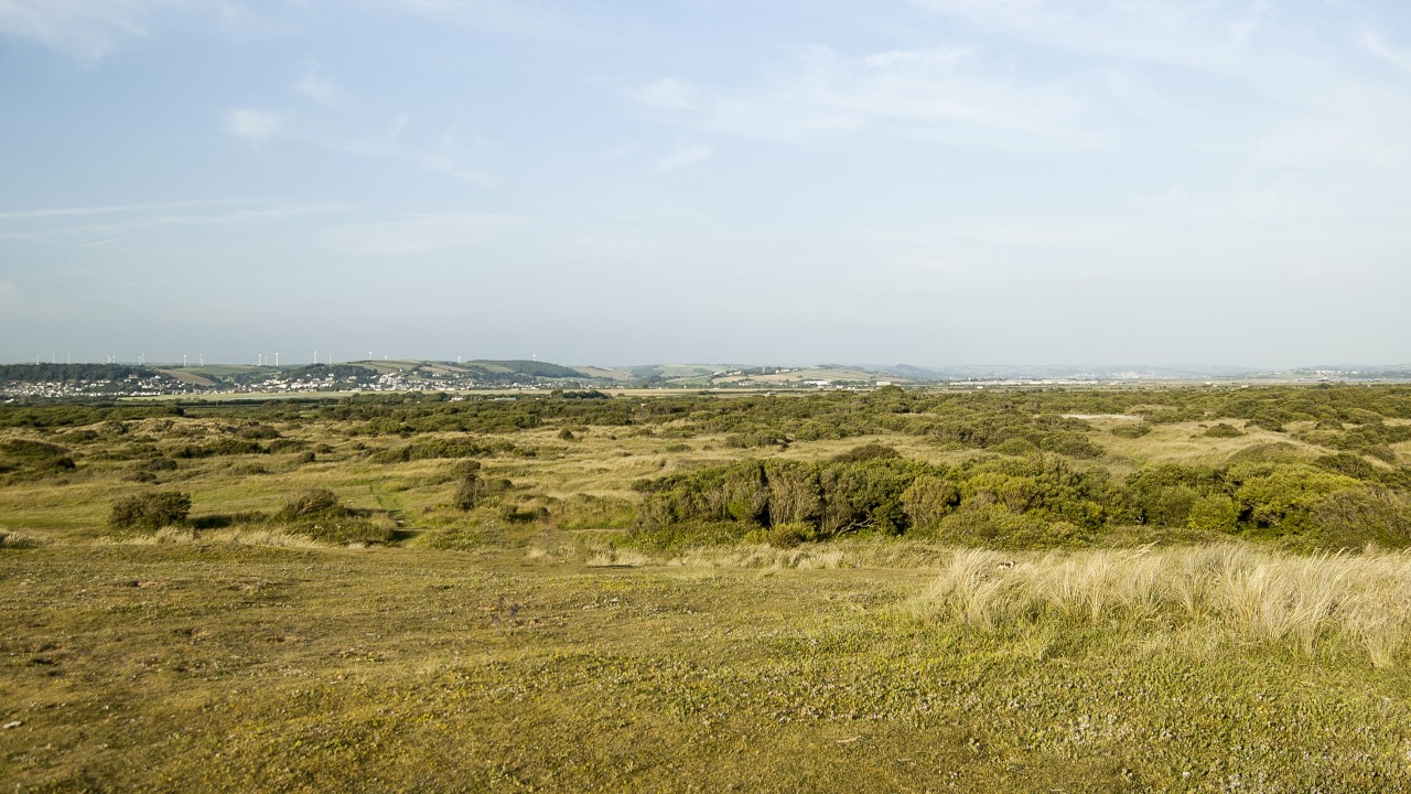 Braunton Burrows Nature reserve